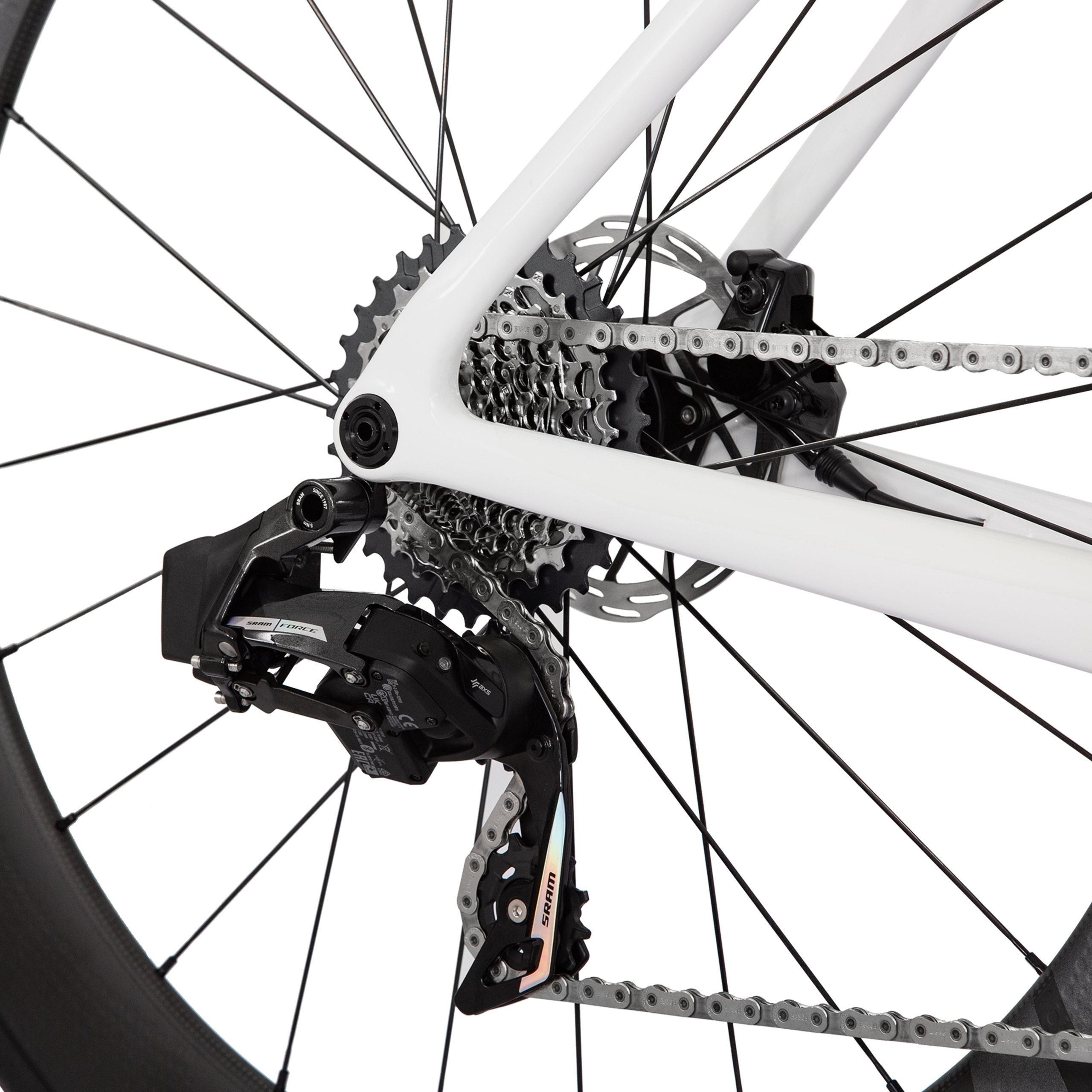 RCR Force AXS - Image 5